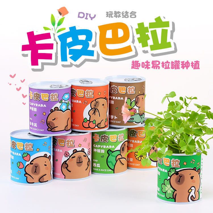 创意易拉罐diy种植小盆栽幸运草驱蚊草含羞草玉米小麦草莓植物礼