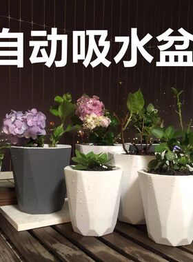 懒人吸水花盆双层干湿分离