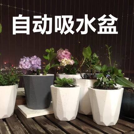 懒人自吸水花盆 | 双层干湿分离塑料盆 | 兰花绿萝水培多规格