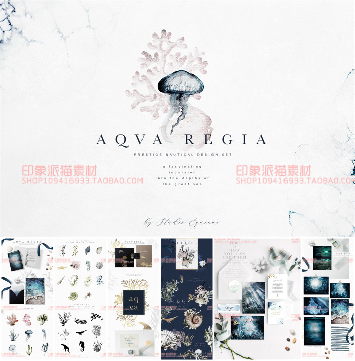 PS-205平面设计素材高清水彩海洋生物水母鱼珊瑚请柬背景插画PNG