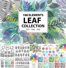 A0449矢量AI设计素材 树叶系列叶脉植物印花logo背景插画含png