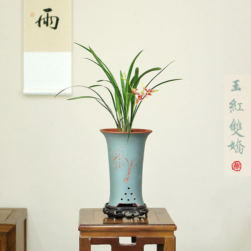 高端建兰皮实好养君子之交