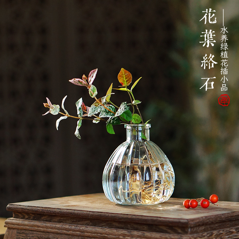 水培花叶络石书桌绿植懒人好养