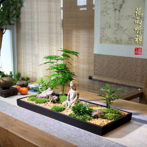 花雨听禅中式枯山水盆景组合盆栽文竹苔藓微景观菖蒲微型禅意茶室 - 封面