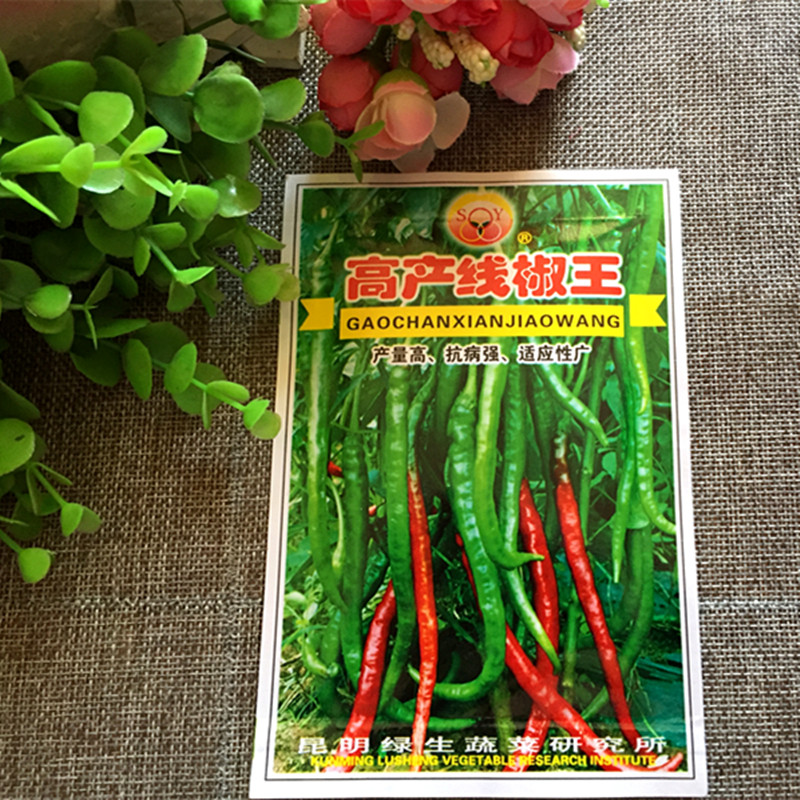 云南蔬菜种子包邮绿生高产线椒王蔬菜种子/种苗