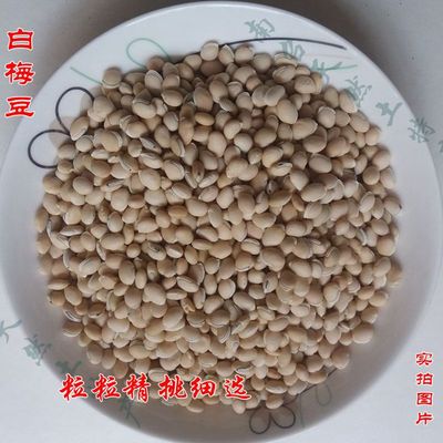 白梅豆精选五谷杂粮白扁豆