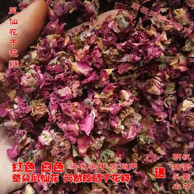 红色指甲花白色凤仙花