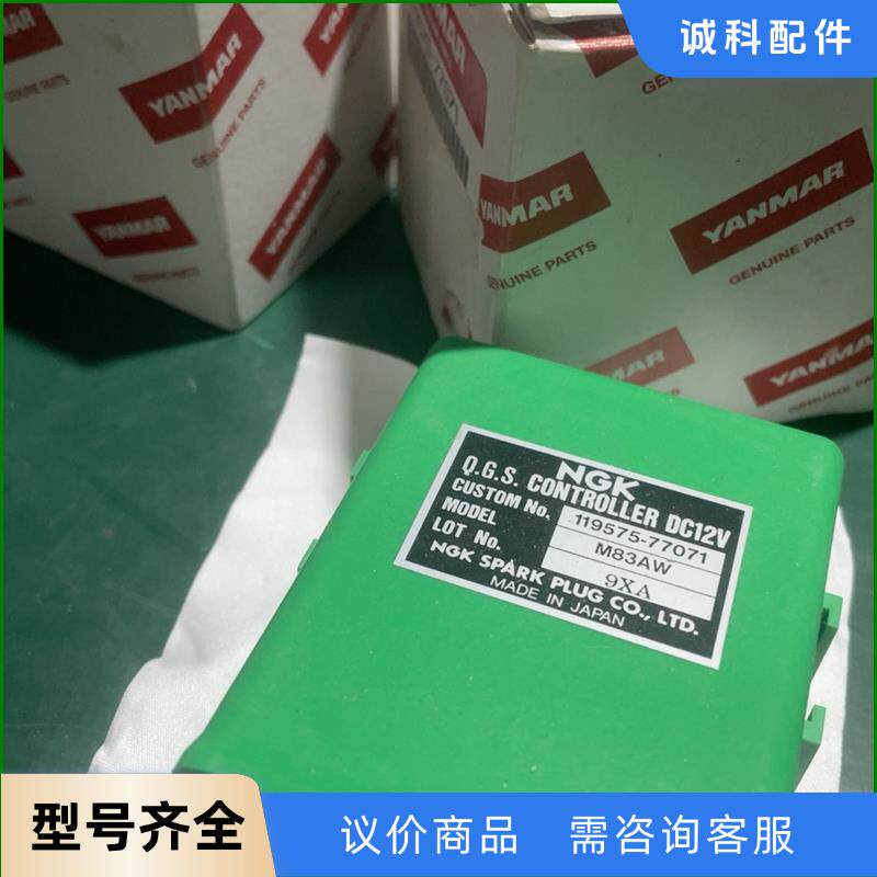 日本YANMAR洋马发动机原装熄火预热延时主继电器，1195议价