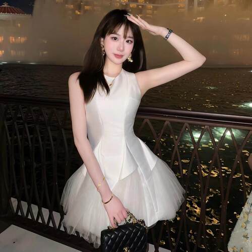 新品白天鹅圆领网纱荷叶边a字蓬蓬裙无袖连衣裙修身显瘦小白裙