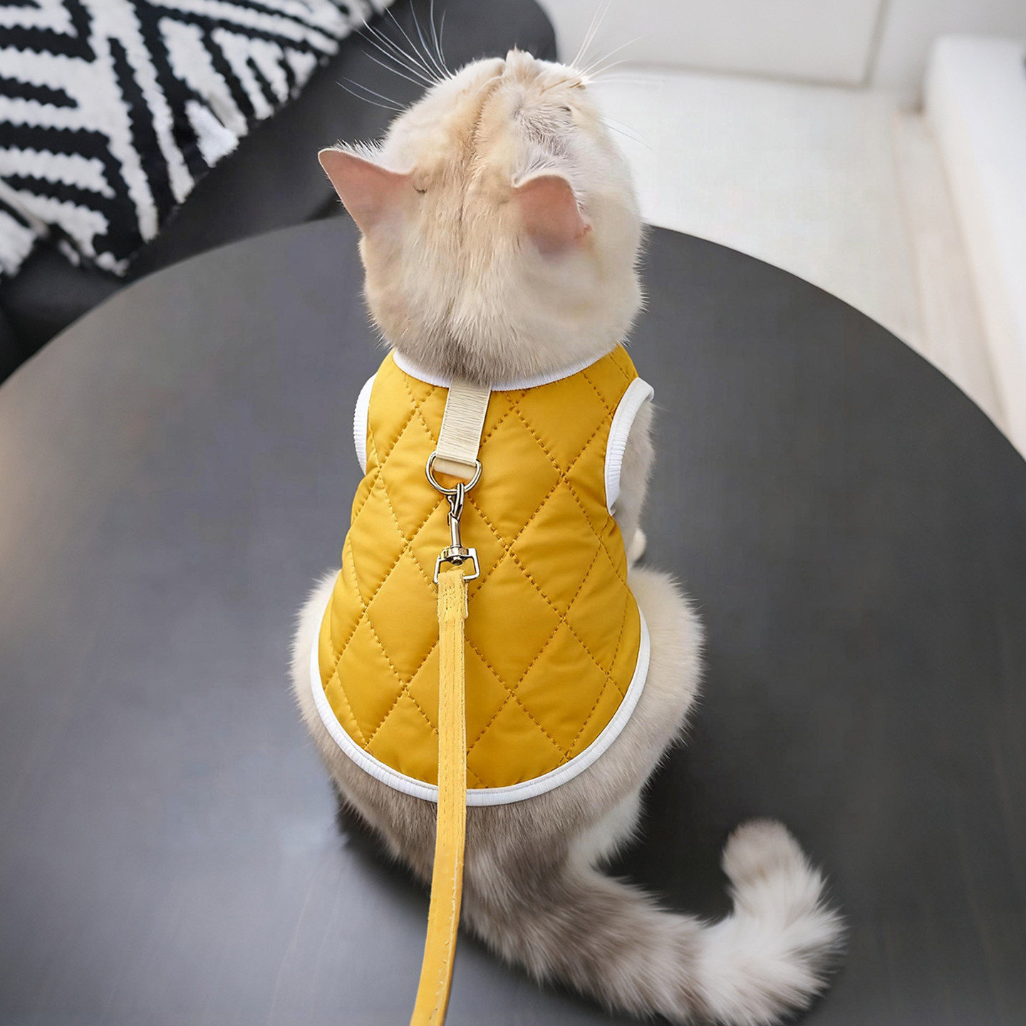 猫咪衣服保暖马甲布偶蓝猫金渐层宠物防掉毛冬季加绒加厚狗狗衣服
