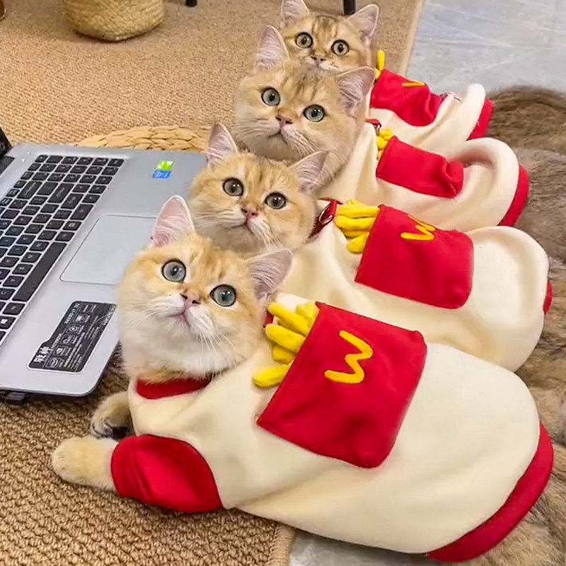 猫咪衣服秋冬季保暖卫衣布偶英短蓝猫小猫泰迪比熊宠物狗狗防掉毛
