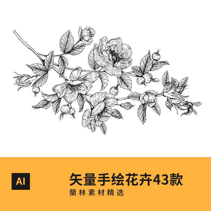 矢量图小清新手绘花线稿花瓣花苞荷花树叶枝叶装饰元素ai设计素材
