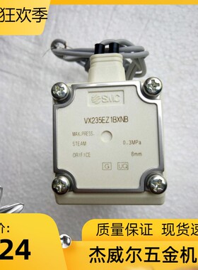 适用山东新华UCD灭菌器进蒸汽SMC电磁阀VX235EZ1BXNB