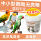 鹦鹉天空中小型鹦鹉无壳粮小太阳和尚鹦鹉鸟粮食饲料不含滋养丸