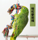 中大型鹦鹉啃咬破坏玩具攀爬玩具棉绳玩具耐咬A36