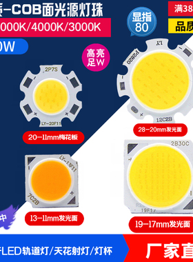 COB光源灯珠  高亮3W5W7W12W18W20W30W LED轨道灯天花灯COB芯片