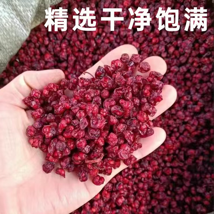 辽宁五味子中药材北茶泡茶泡酒非野生农家250g
