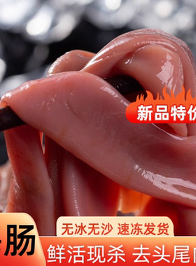 鲜杀海肠海捕海肠皮去头内脏速冻海鲜海肠捞饭搅拌商用食材