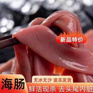 鲜杀海肠海捕海肠皮去头内脏速冻海鲜海肠捞饭搅拌商用食材