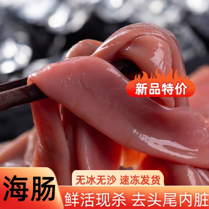 鲜杀海肠海捕海肠皮去头内脏速冻海鲜海肠捞饭搅拌商用食材