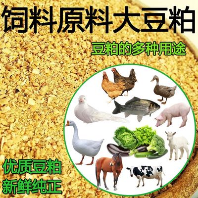 大豆粕饲料豆饼饲料喂猪牛羊鱼豆粕喂鸡饲料五谷杂粮鸭鹅豆柏豆栢