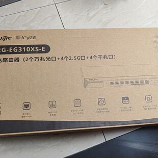 E万兆路由器 完好 EG310XS
