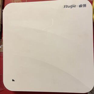 成色靓 物品售出概 RAP230企业级商用ap