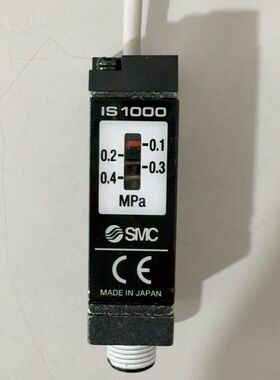 IS1000-01S-X201 压力开关 压
