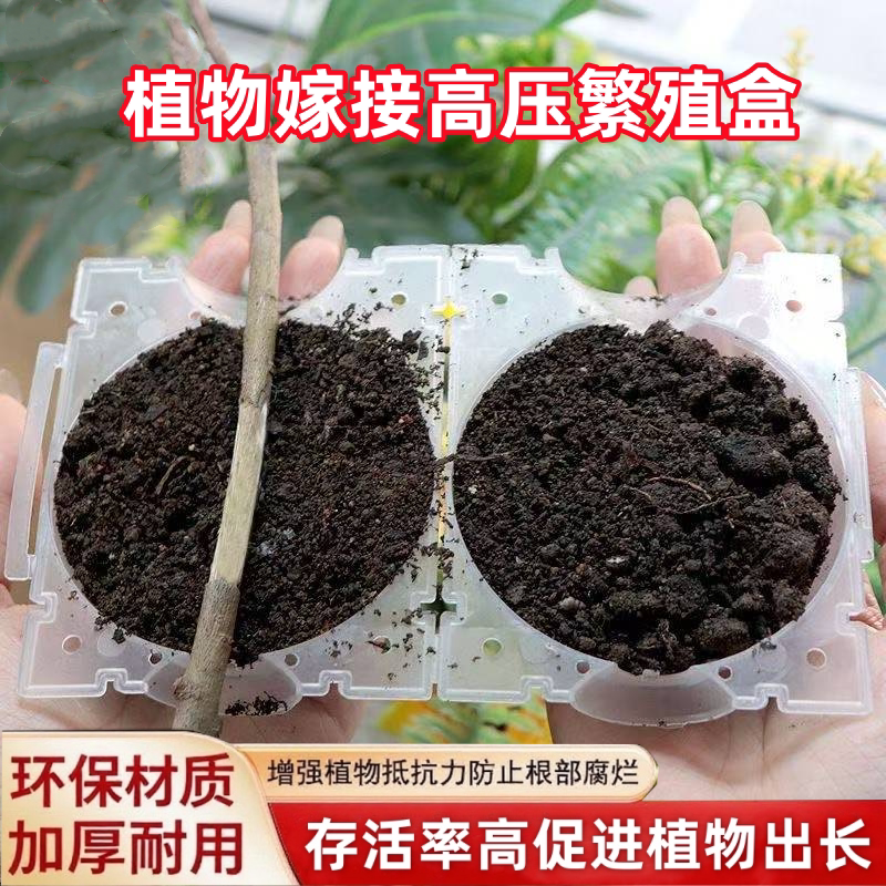 植物高压嫁接盒生根器绿植果树花木扦插工具嫁接包月季枝条生根盒