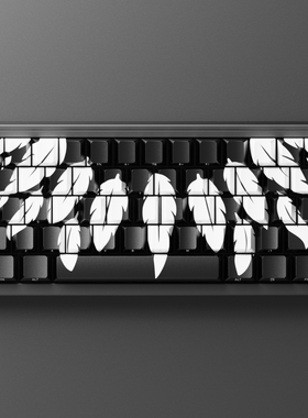 创键宇宙GOROS羽毛主题潮流透光PBT侧刻键帽通用机械键盘磁轴键盘