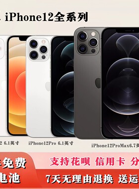 iPhone 12ProMax 正品国行双卡5G全网通手机苹果13ProMax