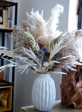 美拉德真花干花花束大束桌面自然装饰摆件北欧客厅芦苇家居装饰