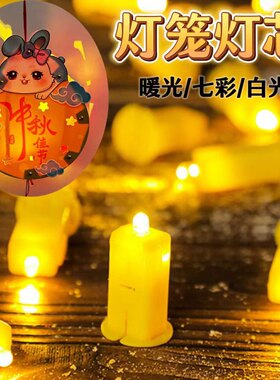 中秋圣诞手工灯笼灯芯发光灯泡