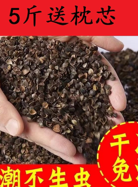 全荞麦壳枕头单人宿舍硬枕芯带枕套护颈椎荞麦皮单个装助睡眠男女