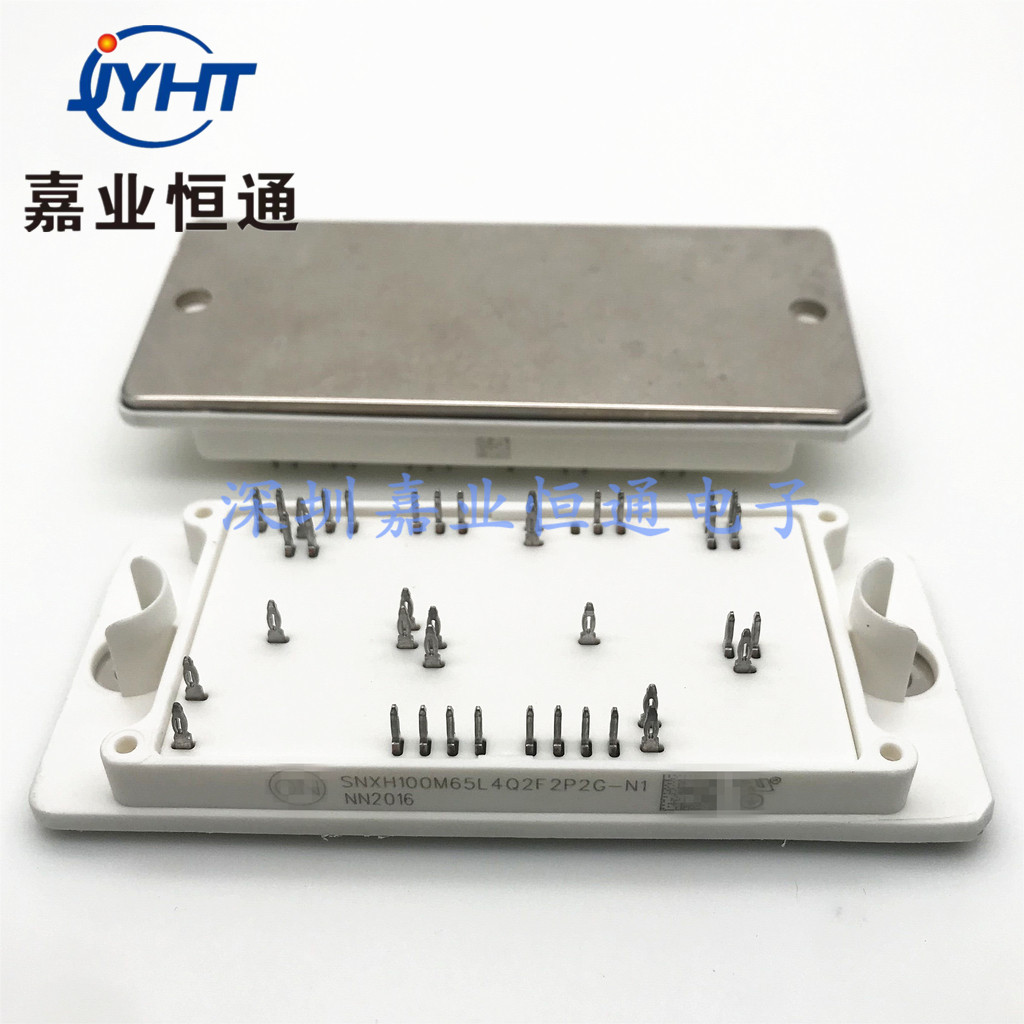 功率模块SNXH100M65L4Q2F2P2G-N1