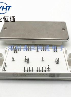 SNXH100M65L4Q2F2P2G-N1 SNXH100M65L4Q2F2P2G 模块 电子元器件