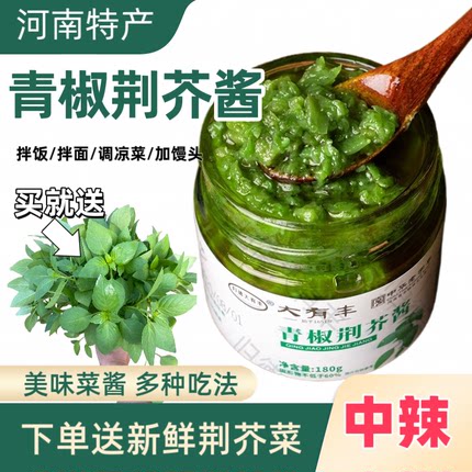 青椒荆芥酱罐装下饭菜开胃鲜香下饭调味辣椒酱拌饭酱贡菜拌面酱