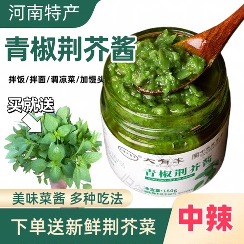 青椒荆芥酱罐装下饭菜开胃鲜香下饭调味辣椒酱拌饭酱贡菜拌面酱