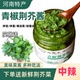 青椒荆芥酱罐装 下饭菜开胃鲜香下饭调味辣椒酱拌饭酱贡菜拌面酱