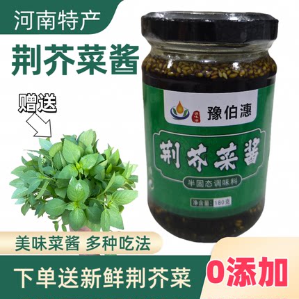荆芥菜酱河南特产荆芥菜辣酱拌面酱夹馍酱下饭菜凉拌菜调味酱瓶装