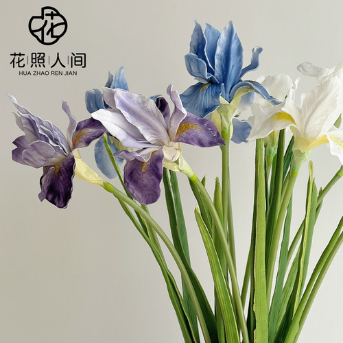 PU室内爱丽丝鸢尾兰仿真花
