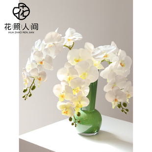 白色蝴蝶兰仿真花手感胶片假花家居桌面插花装饰摆件摄影道具花束