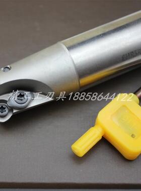 加硬抗震EMR圆鼻铣刀杆CNC舍弃式端铣刀杆白色涂层装R5刀片 EMR5R