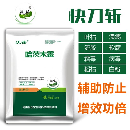 哈茨木霉快刀斩微生物枯叶病白粉