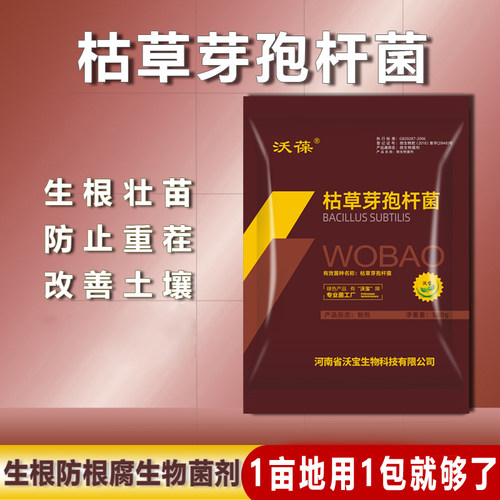 枯草土壤改良微生物防病菜园有机