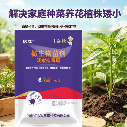 淡紫拟青霉防治根线虫家用菌无毒