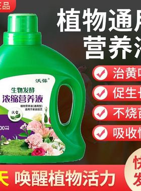 植物营养液绿萝叶黄家用绿植花肥盆栽功能富贵竹通用超浓缩水肥料