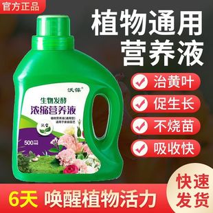 植物营养液绿萝叶黄家用绿植花肥盆栽功能富贵竹通用超浓缩水肥料