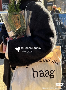 韩国直邮 haag帆布包