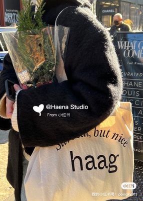 韩国直邮 haag帆布包